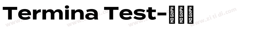 Termina Test字体转换